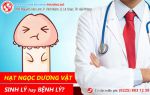 Hạt ngọc dương vật: Sinh lý hay bệnh lý? Cách chữa hạt ngọc dương vật