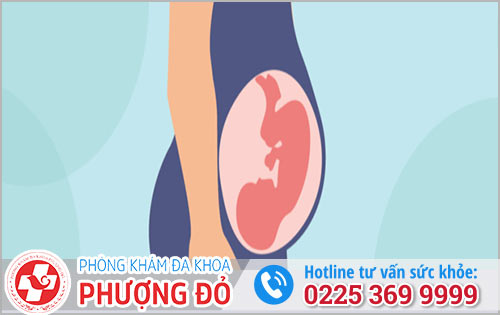 Bỏ Thai 14 Tuần Có Đau Không, Có Nguy Hiểm Không? Bằng Phương Pháp Nào?