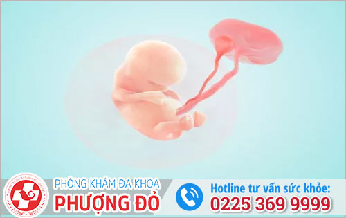 Lắng Nghe Chuyên Gia Tư Vấn Bỏ Thai 10 Tuần Có Được Không?