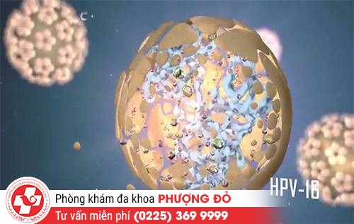 Sùi mào gà - mối nguy hiểm tiềm ẩn không phải ai cũng biết