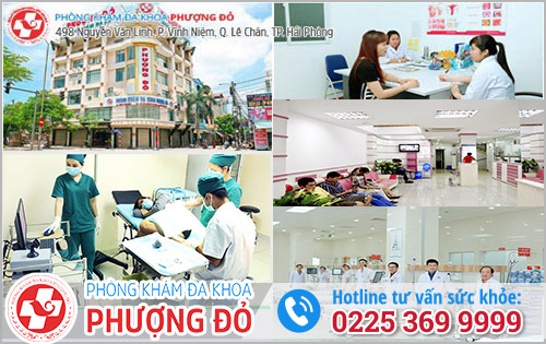 Đa Khoa Phượng Đỏ - Địa Chỉ Chữa Bệnh Trĩ Uy Tín Tại Hải Phòng