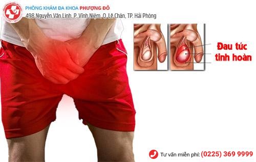 Đau tức tinh hoàn – Dấu hiệu không nên chủ quan Đau tức tinh hoàn – Dấu hiệu không nên chủ quan