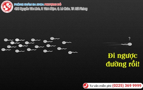 Tình trạng xuất tinh ngược ở nam giới Tình trạng xuất tinh ngược ở nam giới