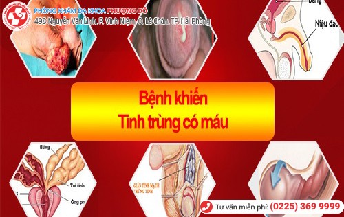 nguyên nhân tinh trùng có lẫn máu