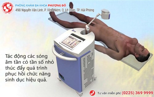 mẹo chữa yếu sinh lý