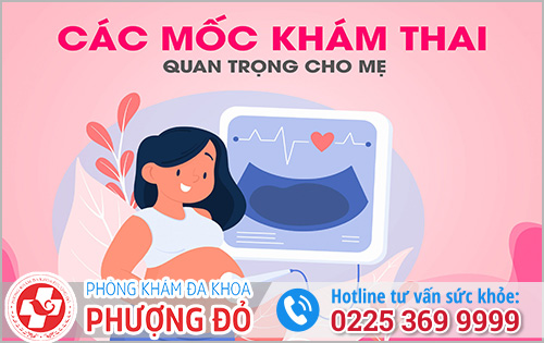 Các Giai Đoạn Mẹ Nên Đi Kiểm Tra Thai