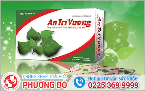 An Trĩ Vương Có Hỗ Trợ Điều Trị Bệnh Trĩ Tốt Không?