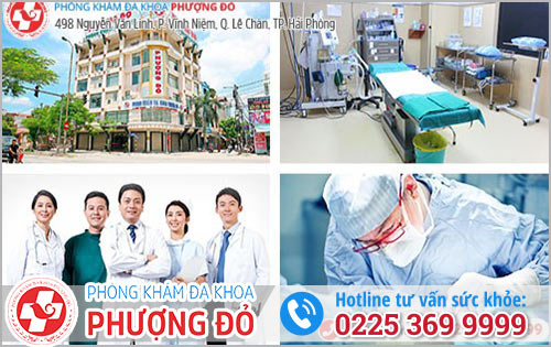 Địa chỉ Tư Vấn Điều Trị Bệnh Trĩ Tại Hải Phòng uy tín