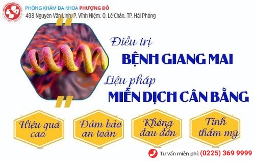 Liệu pháp miễn dịch gene sinh học là cách chữa bệnh giang mai tiên tiến nhất Liệu pháp miễn dịch gene sinh học là cách chữa bệnh giang mai tiên tiến nhất
