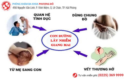 nguyên nhân bệnh giang mai nguyên nhân bệnh giang mai