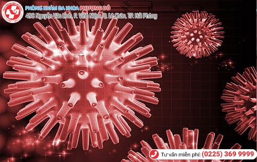 virut gây bệnh herpes sinh dục