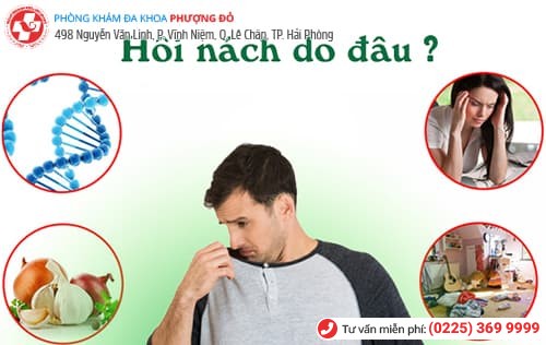 hôi nách là vì sao