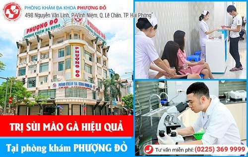 Biểu hiện bệnh sùi mào gà Biểu hiện bệnh sùi mào gà
