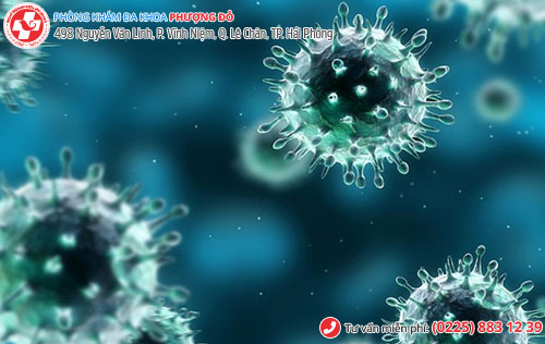 virus HPV