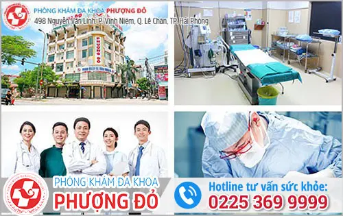 Khắc phục tình trạng đi ỉa ra máu hiệu quả tại Phượng Đỏ - Hải Phòng