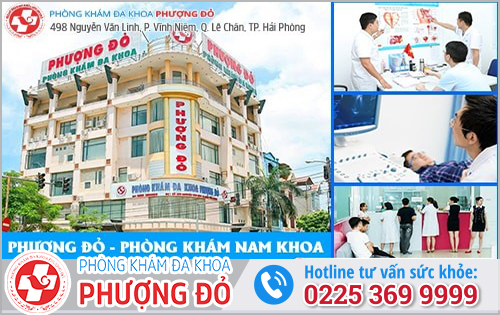 Phòng Khám Phượng Đỏ - Địa Chỉ Khám Nam Khoa Chất Lượng Tại Hải Phòng