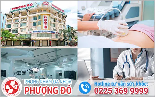 Đa Khoa Phượng Đỏ - Địa Chỉ Kiểm Tra Thai Và Đình Chỉ Thai Uy Tín Tại Hải Phòng