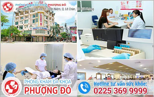 Đa Khoa Phượng Đỏ - Địa Chỉ Khám Thai Chi Phí Phải Chăng Tại Hải Phòng